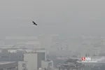 ثصفل