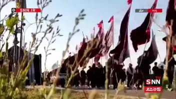 تصاویری از پیاده روی زائران اربعین در مسیر کربلا