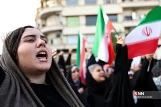 دبب