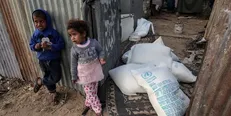 سازمان ملل درباره ناتوانی در تامین غذای یک میلیون آواره فلسطینی هشدار داد
