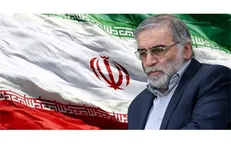 درخواست رئیس سازمان بسیج اساتید از مسئولان برای گرفتن انتقام سخت از قاتلان شهید فخری‌زاده