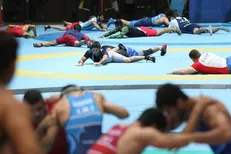 تیم کشتی آزاد ایتالیا به ایران سفر می‌کند