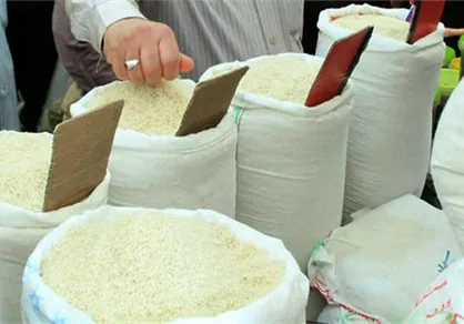 تحرک در بازار برنج مازندران با اعلام نرخ خرید تضمینی