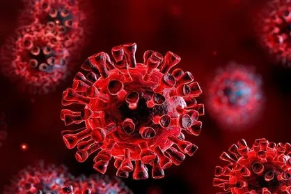 آخرین آمار کرونا در جهان؛ افزایش شمار مبتلایان در فرانسه