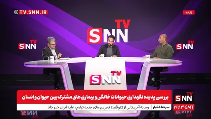 پخش زنده بررسی پدیده نگهداری حیوانات خانگی و بیماری&zwnj;های مشترک بین حیوان و انسان در SNNTV