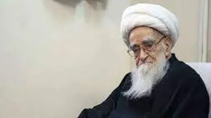 بخشی از زندگی&zwnj;نامه یار امام و رهبری؛ آیت الله صافی گلپایگانی
