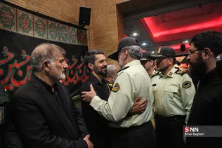 دبب