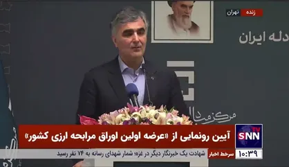 فرزین: ثبات نرخ ارز با دستور شکل نمی&zwnj;گیرد/ نرخ ارز در ایران شناور نیست خزنده است