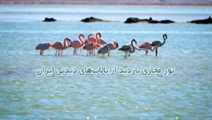 تور مجازی بازدید از تالاب&zwnj;های دیدنی ایران