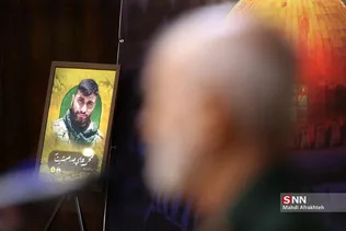 سیلذس