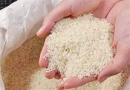 صدور دستور ترخیص برنج&zwnj;های وارداتی به گمرک +سند