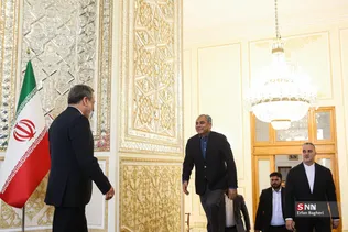 دیدار وزیر کشور پاکستان با وزیر امورخارجه جمهوری اسلامی ایران
