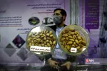 سیشسیبر