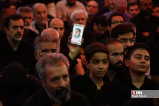 دبب