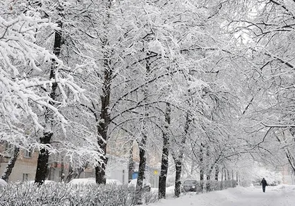 پایتخت برای بارش برف و باران آماده است؟