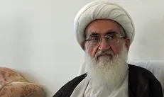 آیت الله نوری همدانی خطاب به آیات یزدی و آملی لاریجانی: یأس دشمنان و خرسندی دوستان انقلاب را فراهم آورید