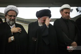 دبب
