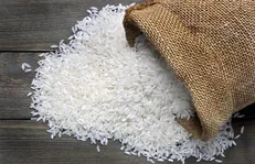 دستور خروج برنج های وارداتی رسوبی را صادر کنید