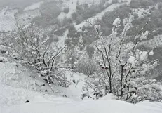 تداوم بارش برف و باران در سمنان/ احتمال کولاک وجود دارد