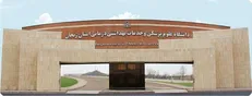 سرطان روده بزرگ چهارمین سرطان دنیا با بیشترین میزان بروز است