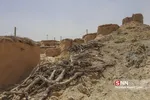ماخونیک