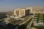 علامه