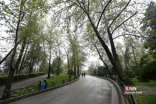 هوای بارانی تهران