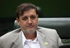 دولت بسیاری از قوانین مصوب مجلس را اجرا نمی‌کند