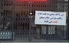 ۵۱۰ مرکز تهیه و توزیع مواد غذایی پلمب شد/ نانوایی‌ها در صدر شکایات بهداشتی