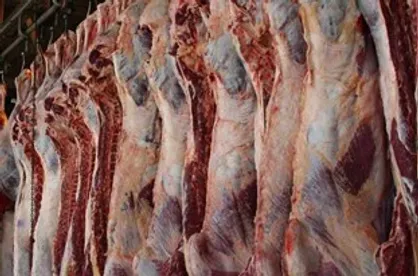 افزایش ۳۹ درصدی تولید گوشت قرمز در خرداد ۹۹