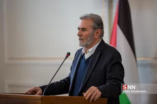 زیادنخاله