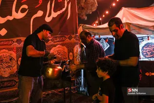 دبب