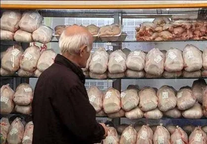 محکومیت ۵۳  میلیاردی مرغداران/ با متخلفان برخورد قانونی می&zwnj;شود