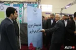 فن بازار گیلان
