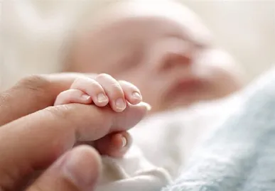 معاون بهداشت دانشگاه علوم پزشکی زنجان: نرخ باروری استان به ۱.۴۳ کاهش یافت