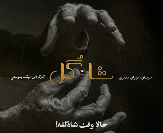 چرخه پوچِ نظارتی در نمایش خانگی؛ روی نام نیک یوسفی در «شاه‌گل» ایستاد!