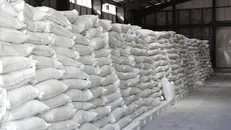 نقش‌آفرینی ۳۰ نانوای گلستانی در شبکه قاچاق ۸۰۰ تُنی آرد