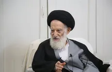حال عمومی آیت‌الله شبیری‌زنجانی مساعد است؛ جای نگرانی نیست