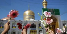 ببینید| گلباران حرم امام‌رضا (ع) توسط بانوان مشهدی