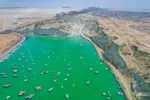 بریس