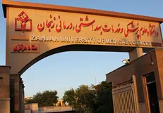 بودجه پژوهشی دانشگاه علوم پزشکی زنجان ۲ تا ۳ برابر شده است