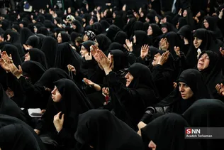 دبب