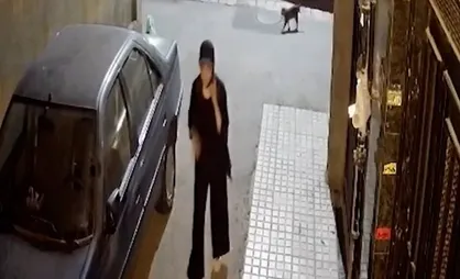 اطلاعیه سازمان بهشت زهرا در پی انتشار شایعات درباره مرحومه نیکا شاکرمی
