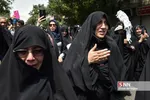 بیبب