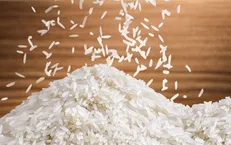 هند؛ بزرگترین وارد کننده برنج به ایران/ واردات برنج اماراتی