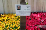 فصل بهار و میهمانی لاله ها
