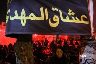 دبب