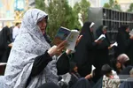 دبب