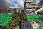 ماهی قرمز و سبزه شب عید