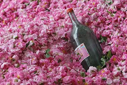 رفع سوزش و خارش پوست با استفاده از گلاب